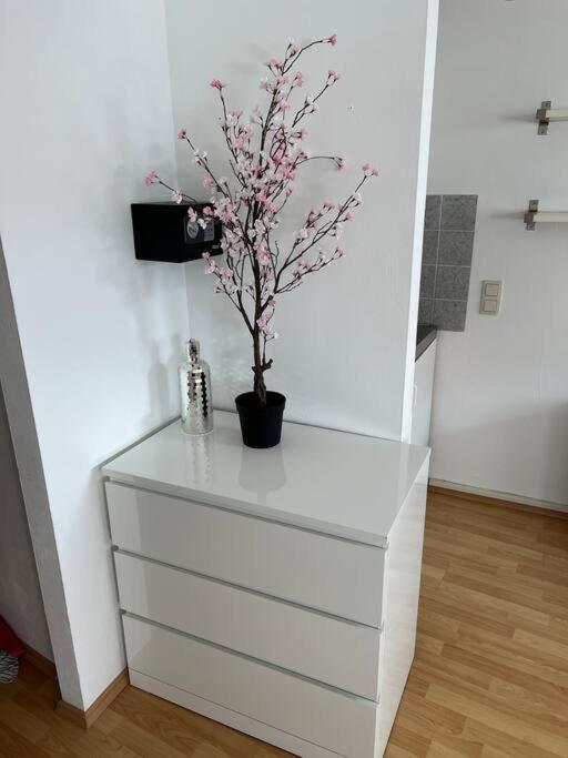 Kleines Apartment Im Zentrum Von Wuerzburg Eksteriør bilde